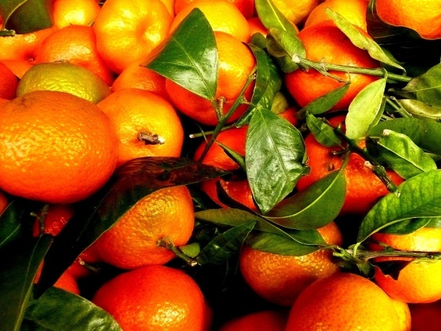 Зрелые плоды и веточки с апельсинового дерева