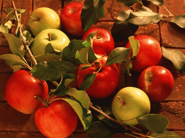Белые и красные яблоки среди листьев