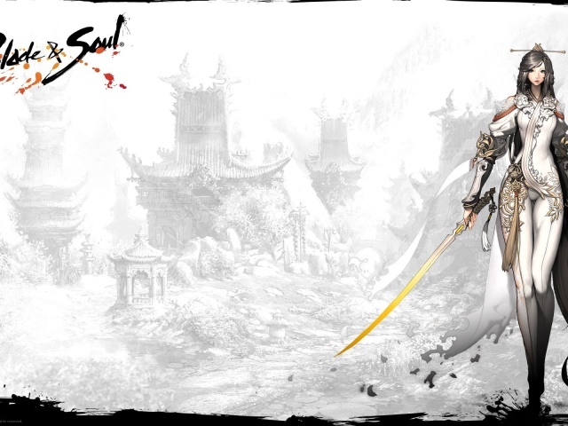 Многопользовательская игра Blade and Soul