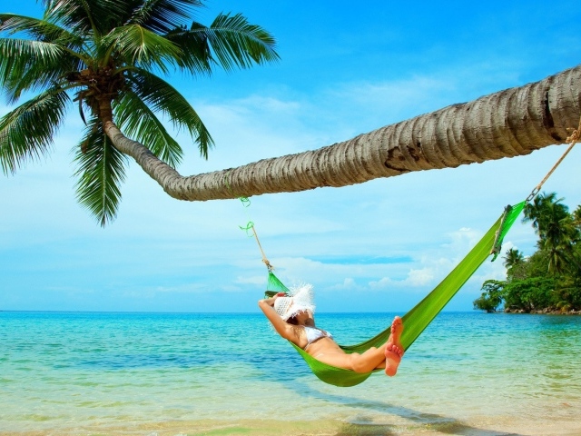 Девушка в зеленом гамаке под пальмой