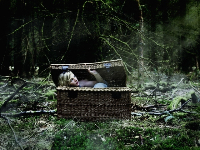 Блондинка в корзине в лесу