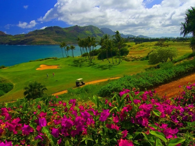 Красивый сад на песчаной почве