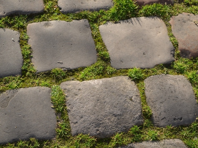 Зеленая трава между блоков брусчатки