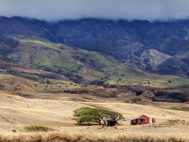 Домик у дерева в пустынной горной местности