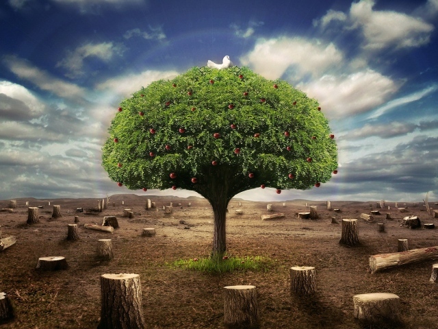 Живое дерево среди пеньков