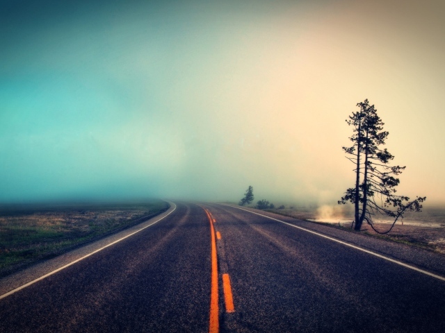 Оранжевая разметка на шоссе