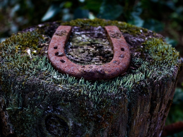 Ржавая подкова на пеньке