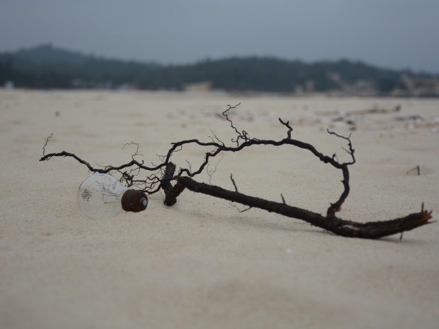 Черная ветка на белом песке
