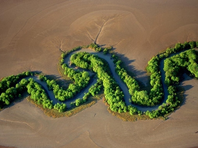 Река в пустыне