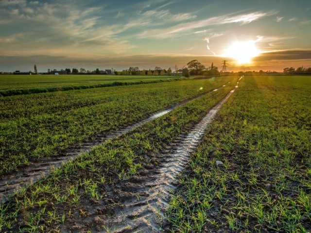 След трактора в поле