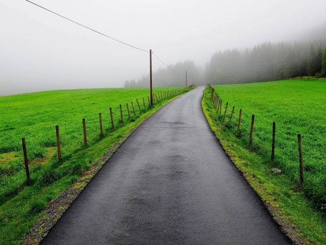 Мокрая дорога между зеленых полей