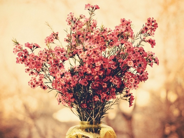 Букет полевых розовых цветов в вазе