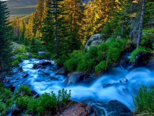 Голубой ручей среди горного леса