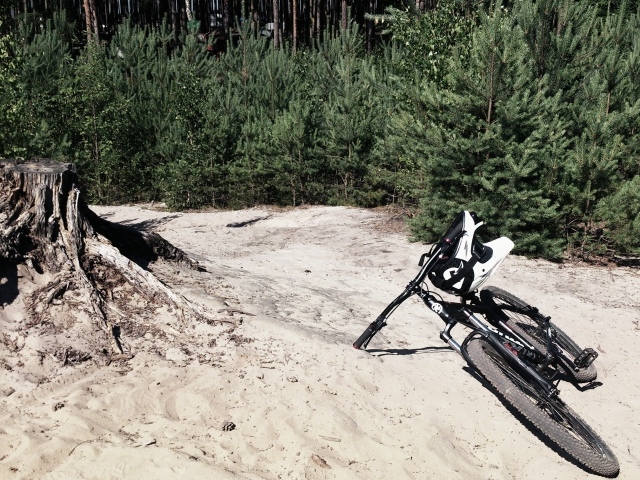 Велосипед у пенька среди леса
