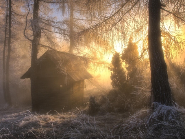 Охотничья избушка в морозном лесу