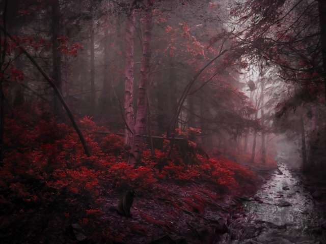 Река в чаще мрачного красного леса