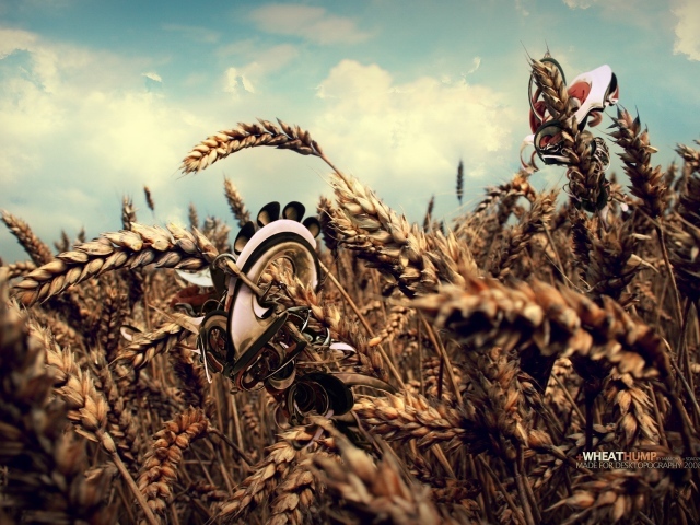 Робот в пшеничном поле