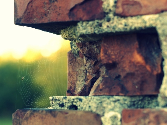 Паутина в выемке кирпичной кладки