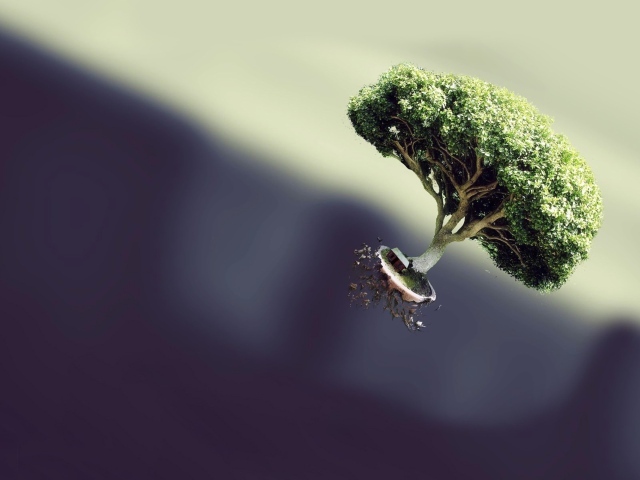 Летающее дерево на темном фоне