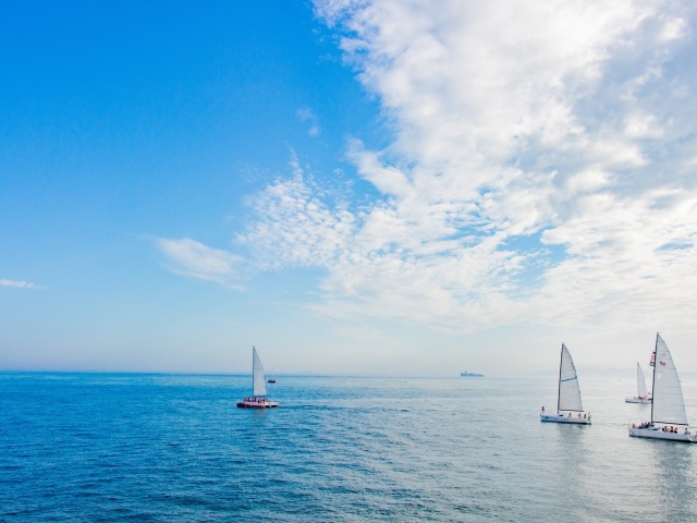 Несколько парусников на тихой глади залива
