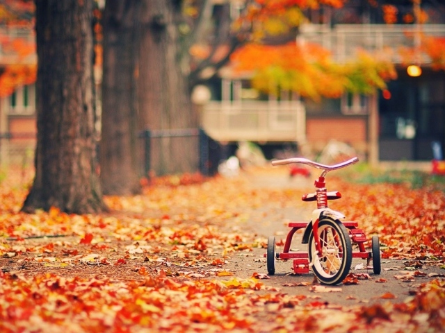 Детский велосипед на осенней листве