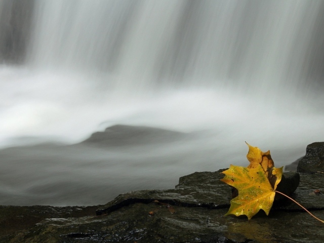 Осенний лист у водопада