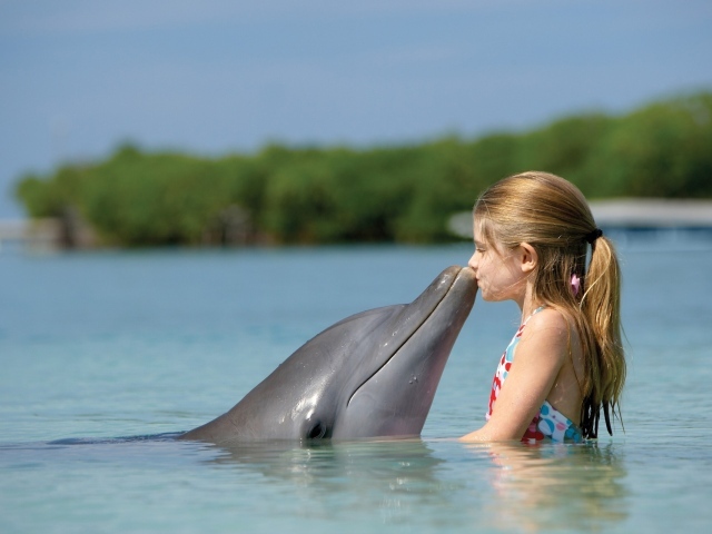 Маленькая девочка целует дельфина