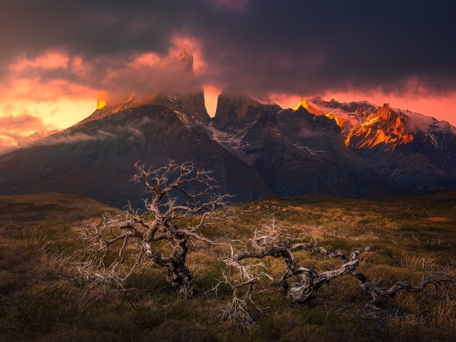 Национальный парк Торрес-дель-Пайне, Чили