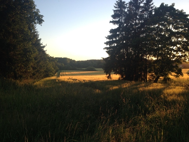 Летний пейзаж в Финляндии