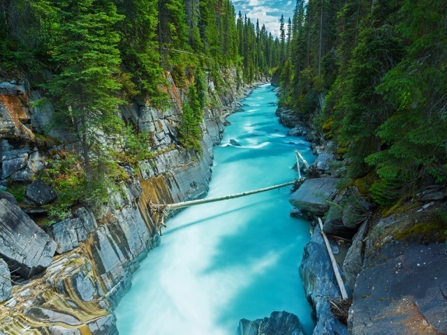 Голубая река среди леса в Канаде