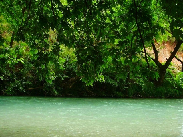 Зелень над рекой, Греция