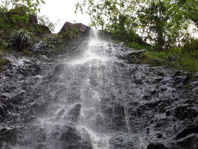 Заповедник Ka‘Au Crater на Гавайях