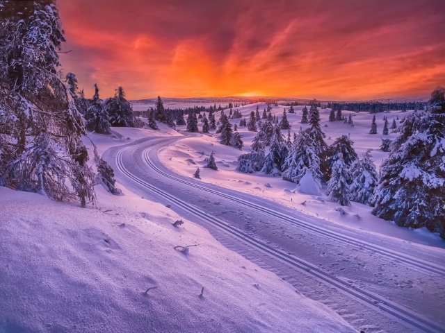 Зимняя дорога в Норвегии