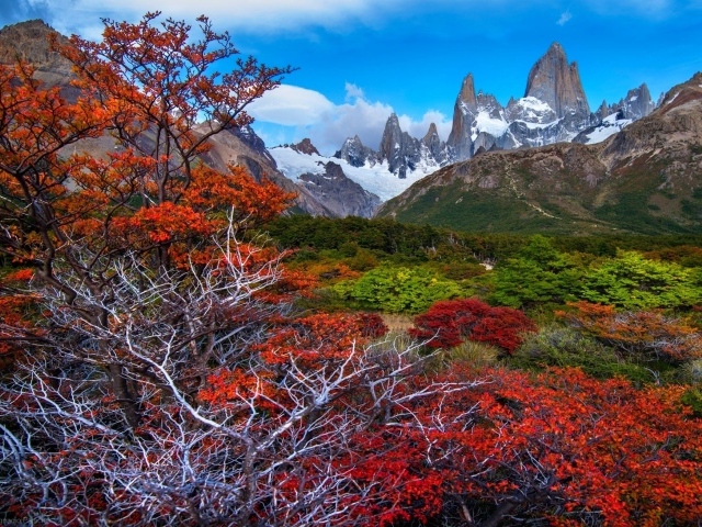 Красочная местность Патагония