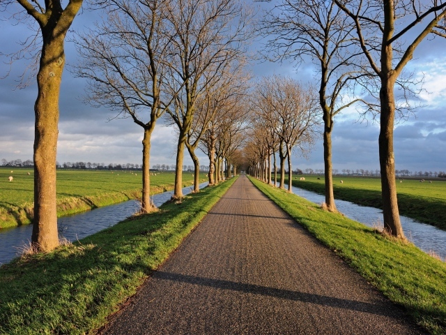 Дорога и аллея между двух каналов