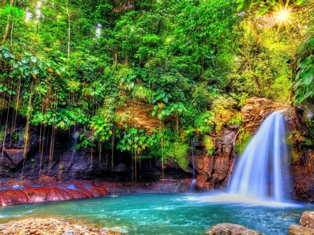 Водопад в джунглях острова Гваделупа