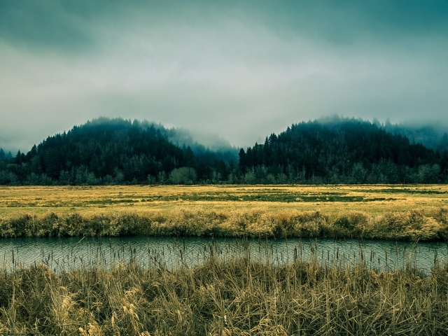 Река в болотистой местности, Орегон