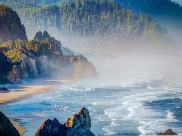 Лесистые горы на берегу в Орегоне