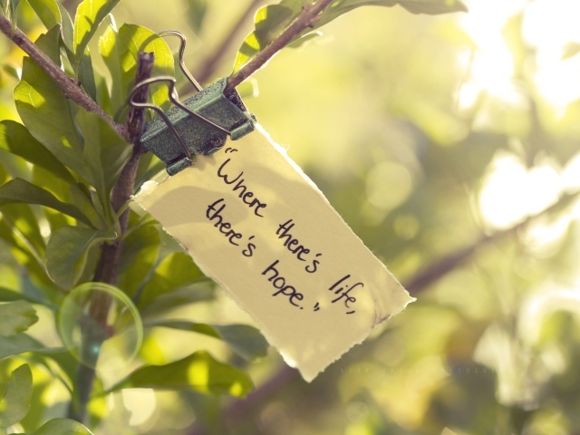 Где есть жизнь там есть и надежда