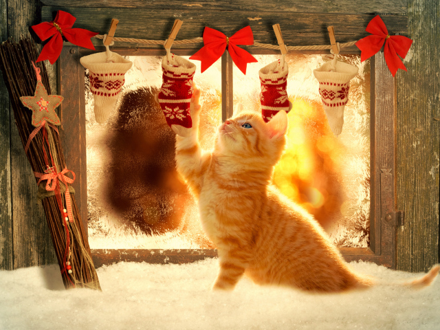 Маленький рыжий котенок играет рождественским декором на окне