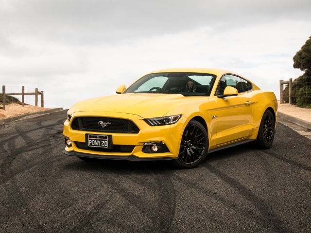 Спортивный желтый автомобиль Ford Mustang на трассе
