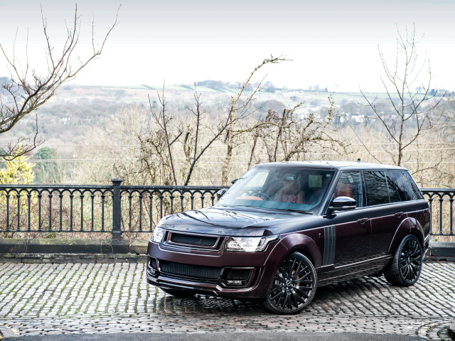 Внедорожник Range Rover цвет бордовый металлик