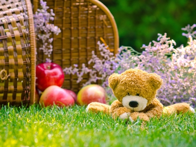 Мягкая игрушка медвежонок Тедди сидит на зеленой траве с корзиной яблок