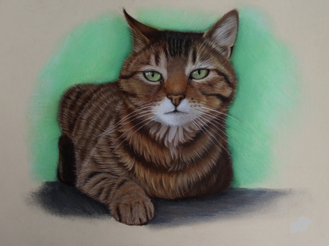 Нарисованный зеленоглазый кот