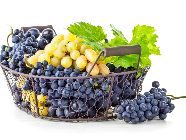 Корзина синего и белого винограда на белом фоне
