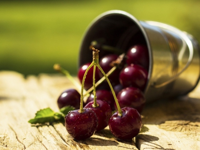 Спелые вишни в капельках воды  на столе с маленьким железным ведерком