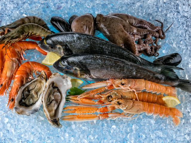 Морепродукты креветки, рыба, мидии лежат на льду