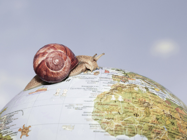 Улитка ползет по глобусу на сером фоне