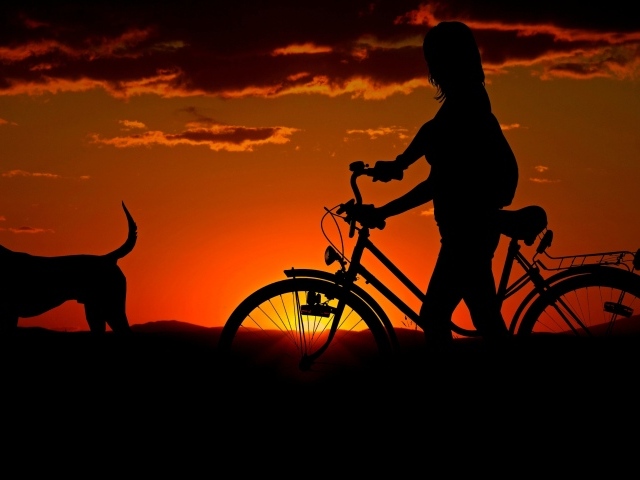 Девушка с велосипедом гуляет с собакой на закате солнца