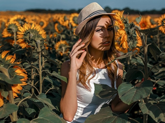 Красивая девушка в шляпе стоит на поле с подсолнухами